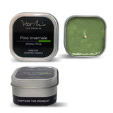 Winter Pine | Pino Invernale