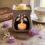 Mini Ceramic Wax Melters