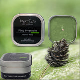 Winter Pine | Pino Invernale
