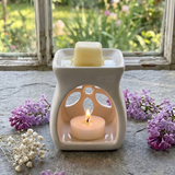 Mini Ceramic Wax Melters